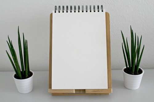 白紙のノートと観葉植物